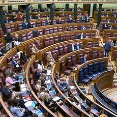 La AEAFA reclama  “unidad” a los partidos políticos para que apoyen este martes la eliminación de los MASC en procesos de Familia con menores